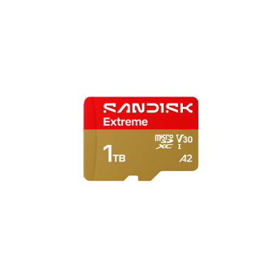 Cart&atilde;o SanDisk Micro SD/XC 1TB